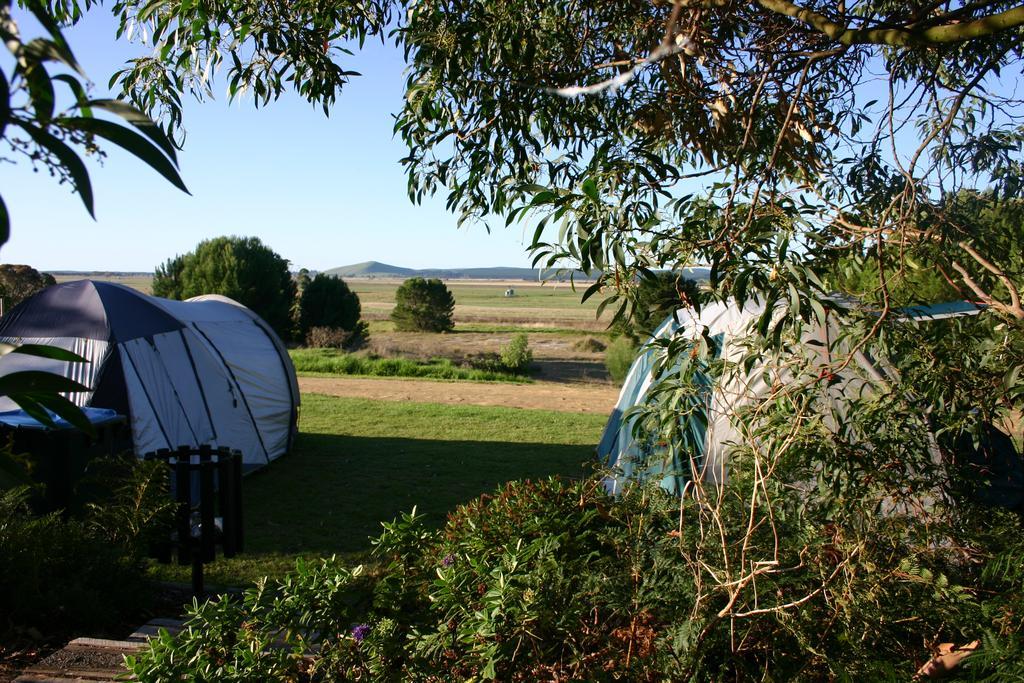 Millicent Hillview Caravan Park Exterior foto